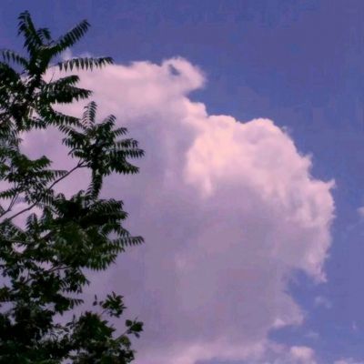 热血战江湖果盘版下载
